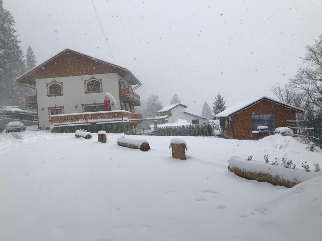 Casa Belcin Spa&Retreat Buşteni Exteriér fotografie